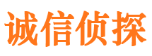 修武侦探公司